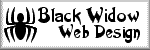 Black Widow Web Design